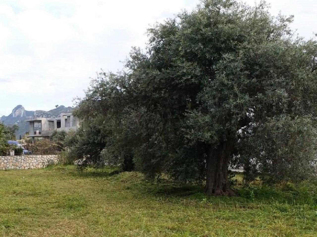Suluca Homes Girne Buitenkant foto