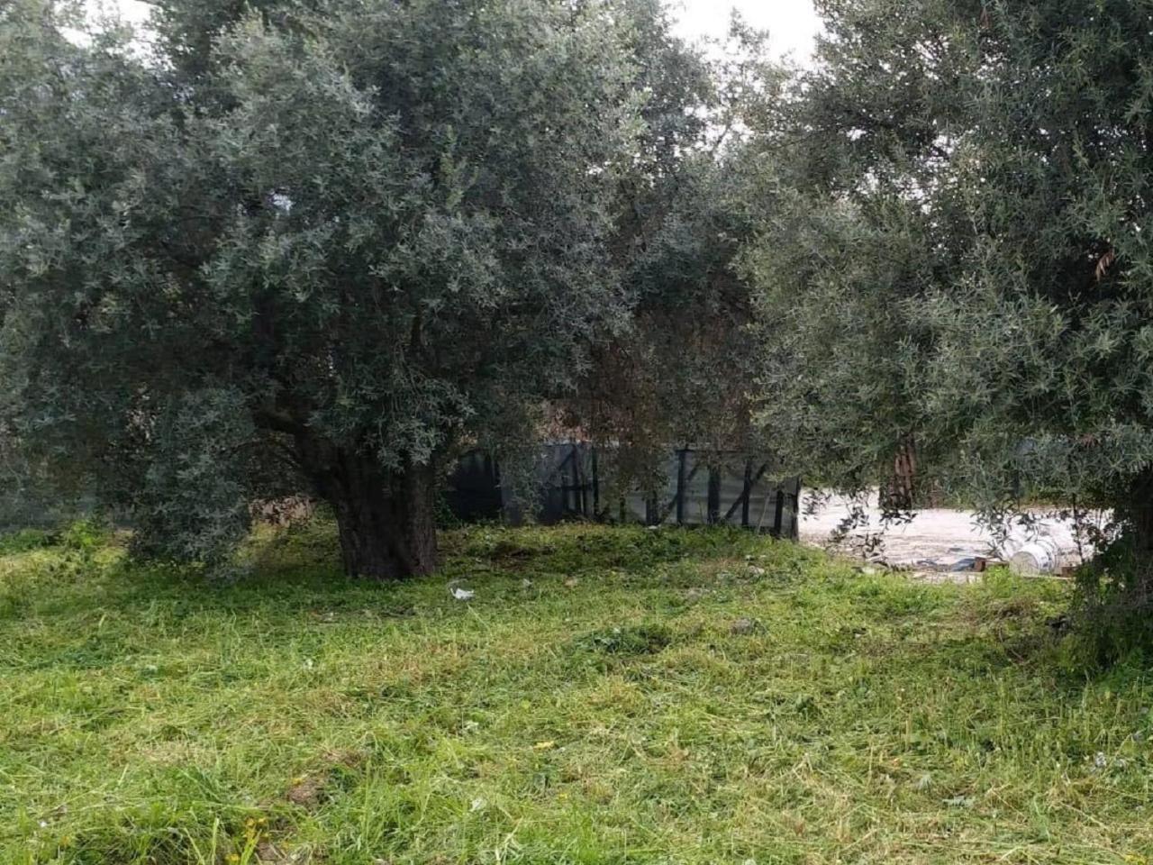 Suluca Homes Girne Buitenkant foto