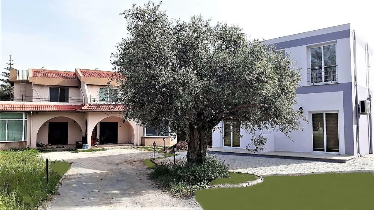 Suluca Homes Girne Buitenkant foto