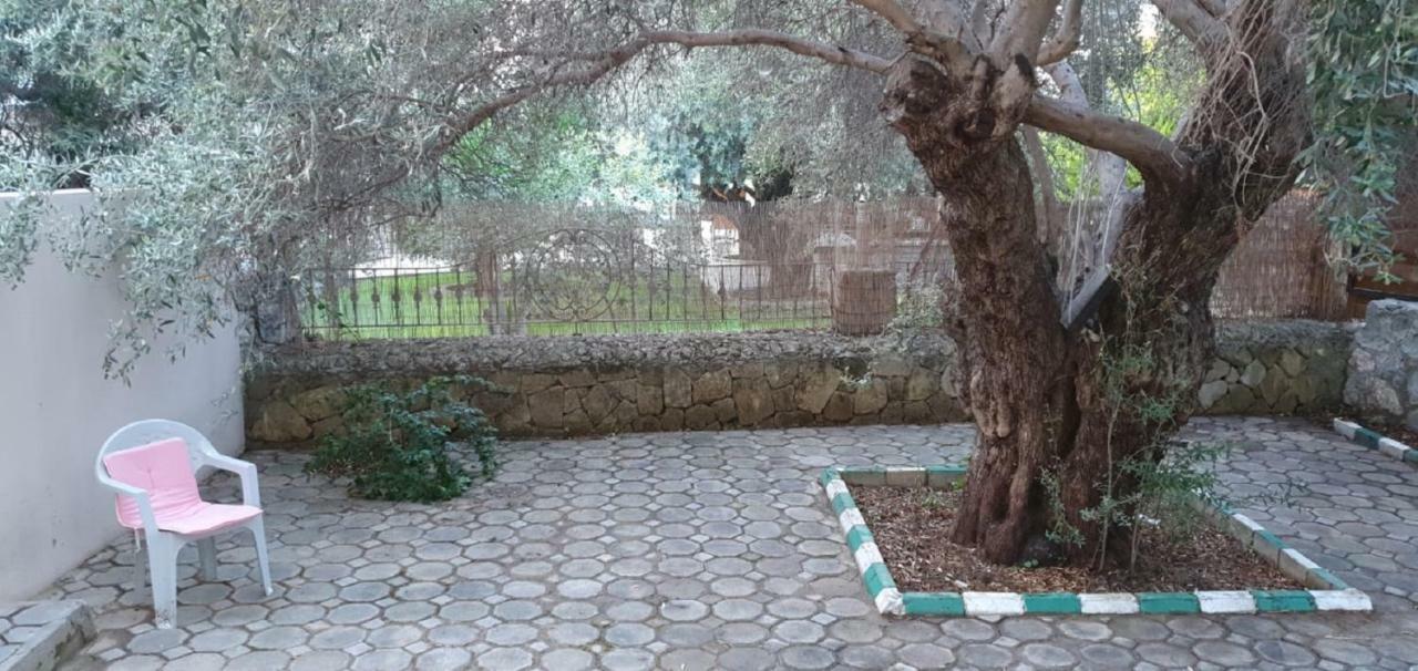 Suluca Homes Girne Buitenkant foto